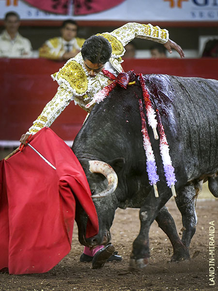 Muletazos de oro y plata