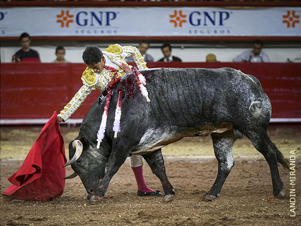 Condiciones de avanzar en la profesi�n