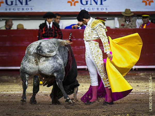 Expectaci�n por ver a Alejandro