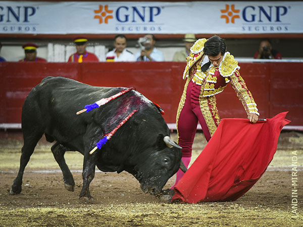 Anduvo a gusto por el redondel