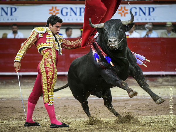 Con esa desenvoltura