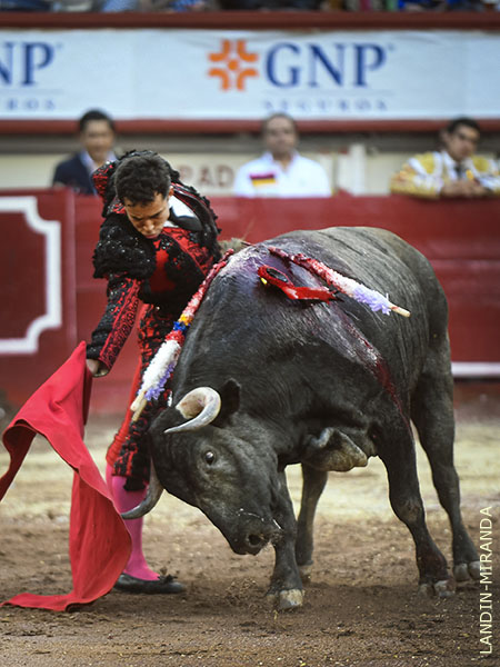 Sac� la casta y se mostr� en su plaza