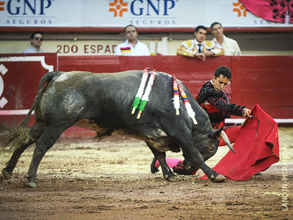 Centrado y torero