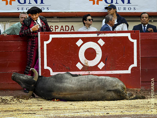 Se sigui� de largo hasta estrellarse