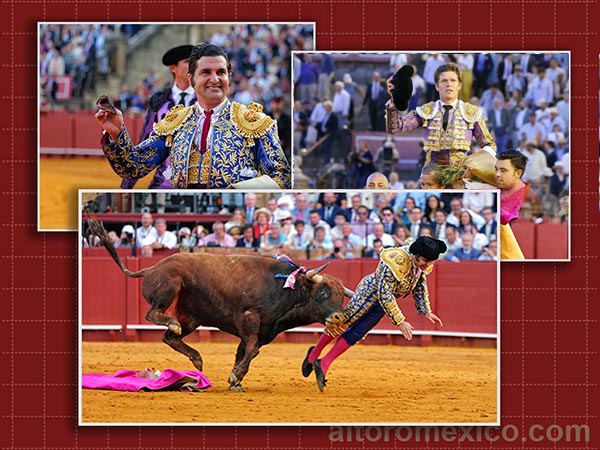 Seco golpe de desencanto