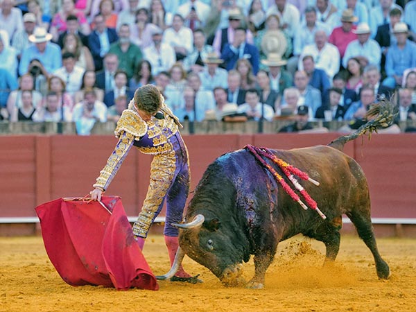 Tres toros de consagraci�n