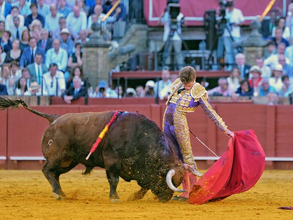 Vibraci�n y alegr�a del ejemplar