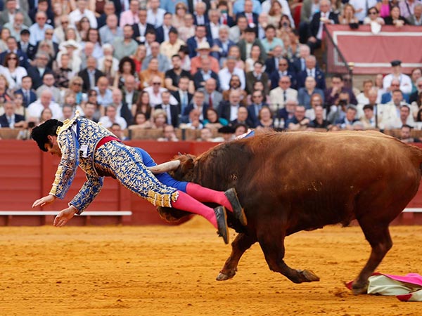 Ceb�ndose con el torero