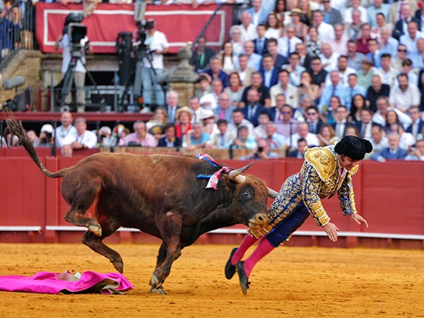 Le hinc� el pit�n