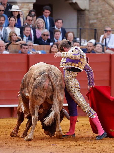 Metiendo la cara abajo