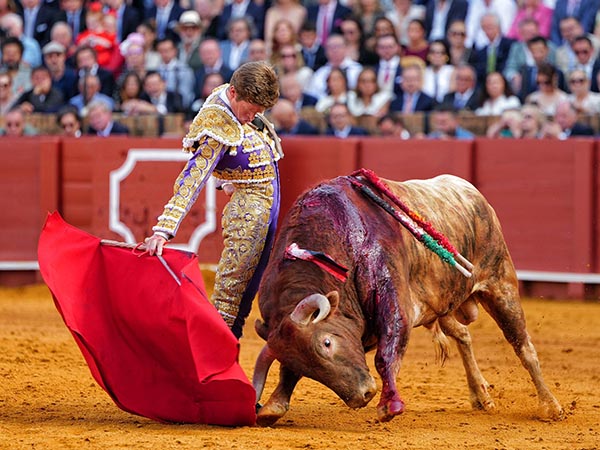 Sentidas tandas por el derecho