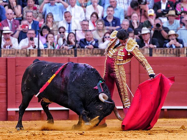 Acompasados naturales