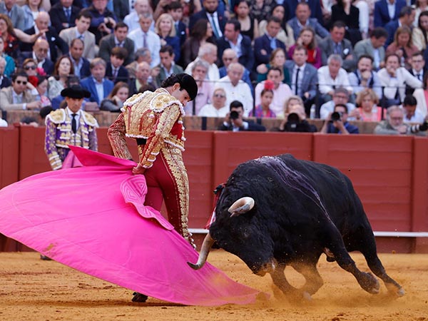 Los vuelos del percal