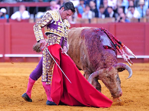 Interesantes momentos