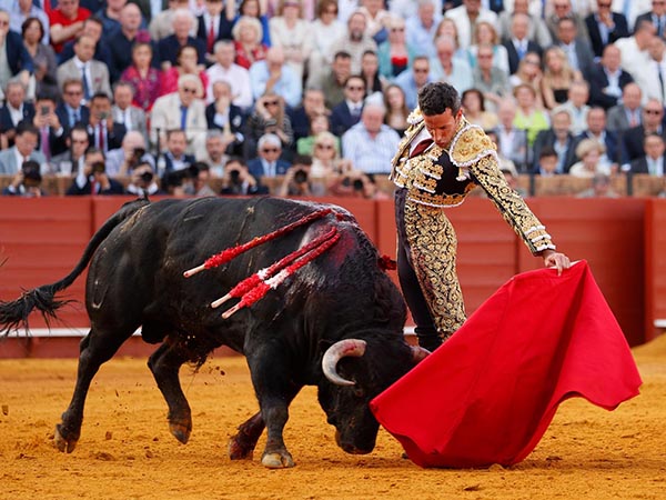 Vertical en los naturales