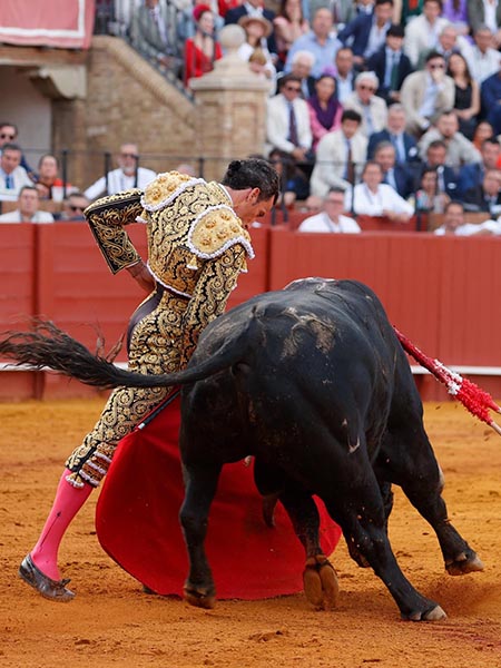 FIligranas de muleta