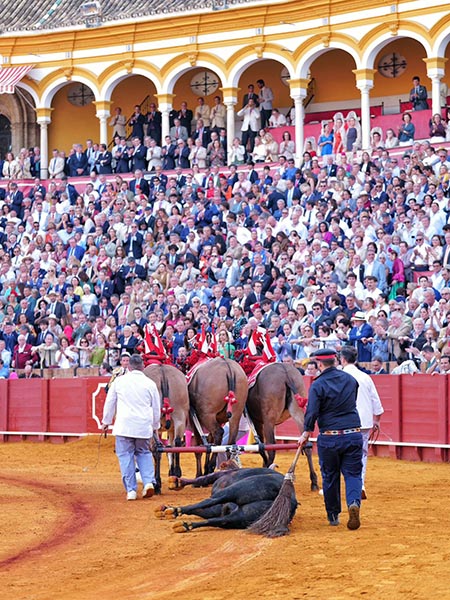 Ovaci�n a los despojos