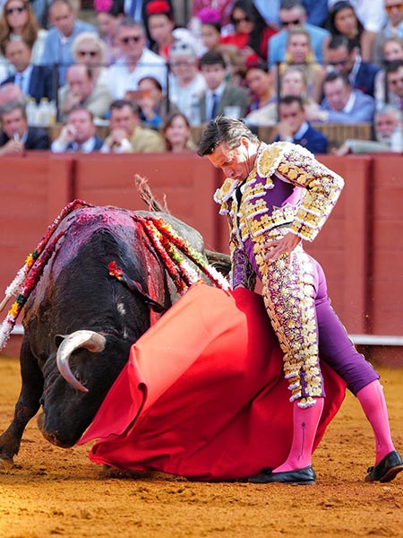 En torero