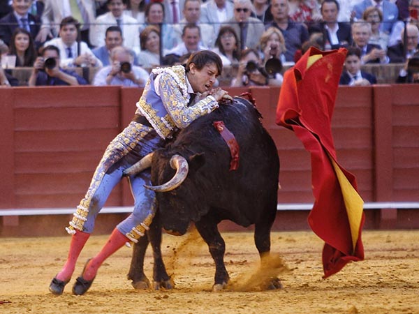 Le hinc� el pit�n