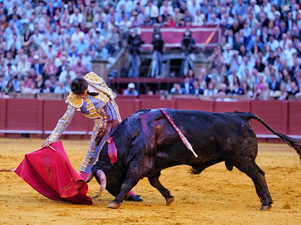 Largo metraje en su trasteo