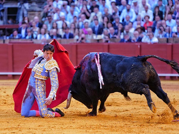 El triunfo grande en mente