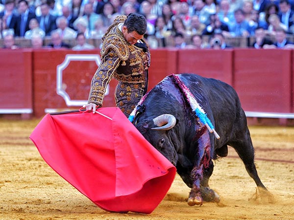 Poco sac� en claro