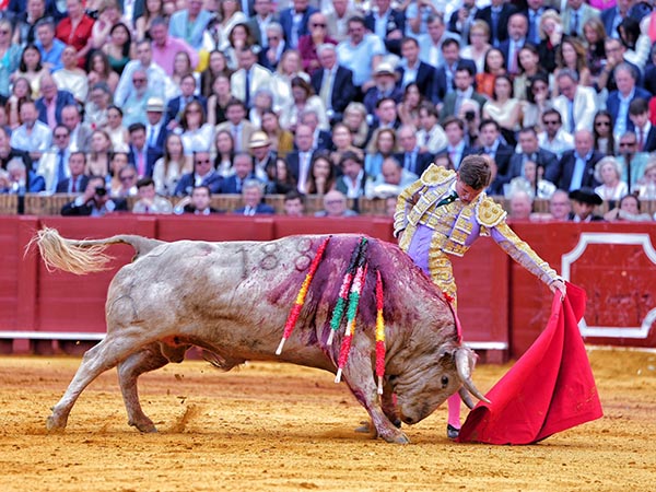 Templado por naturales