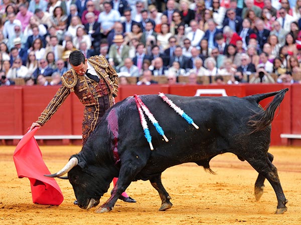 Manzanares, primer espada