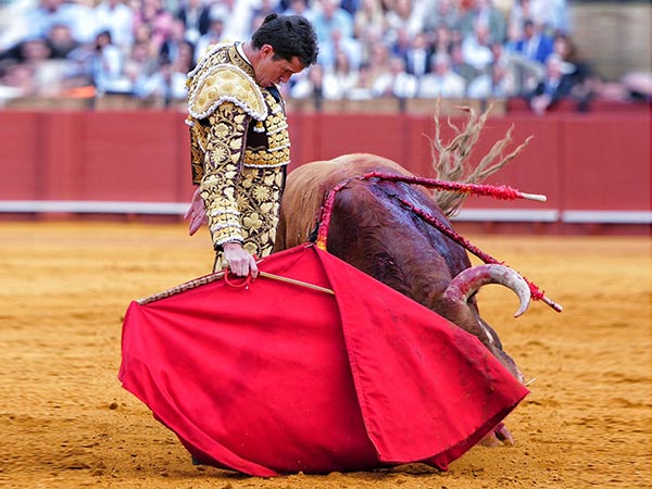 Tauromaquia cl�sica