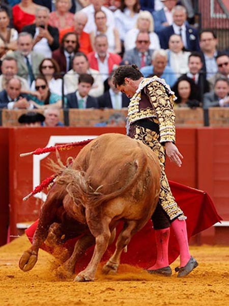 Magn�ficos muletazos