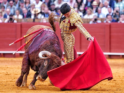 Tirando del colorado