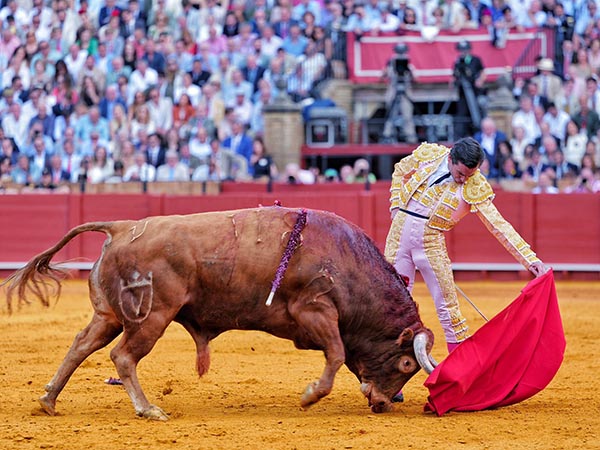 La nobleza del colorado