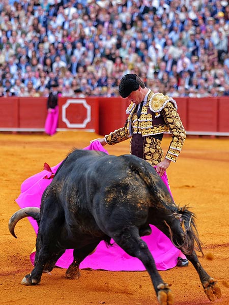 Daniel Luque hace valer su maestr&iacute;a