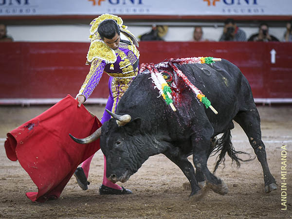 Al final, termin� metiendo la cara