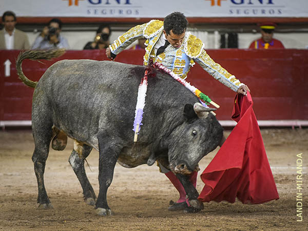 Hizo gala de una madurez