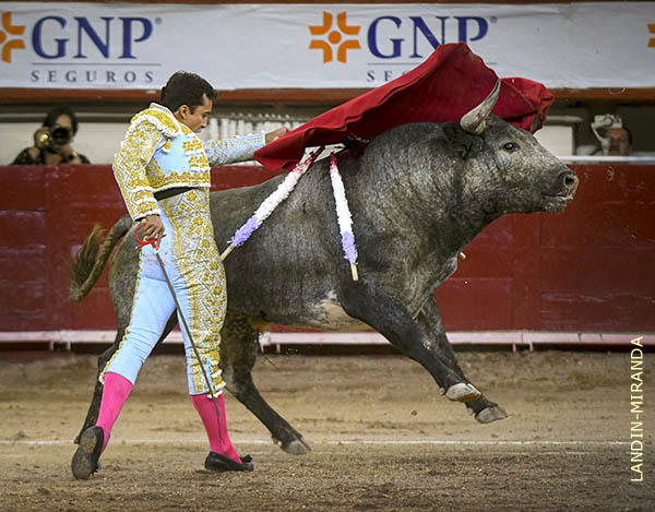 Din�mico, valiente, decidido y fresco