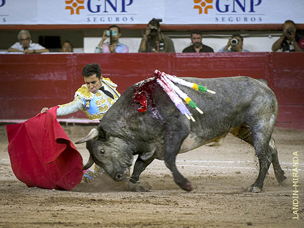 Pr�logo rodilla en tierra