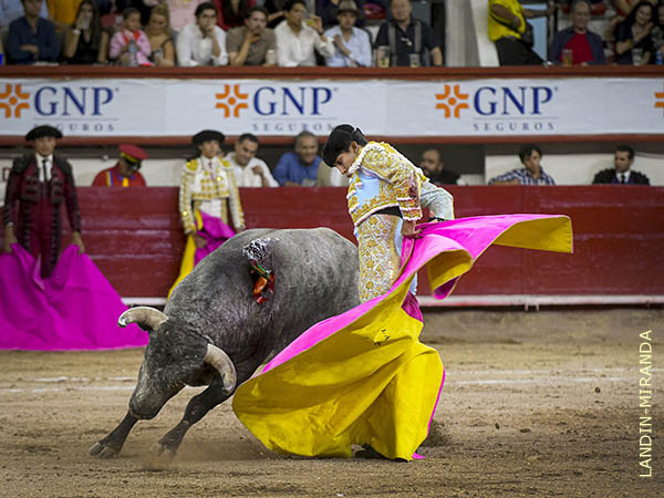 Luci� la variedad en los quites