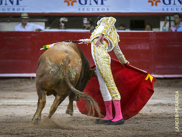 Marco descidi� abreviar