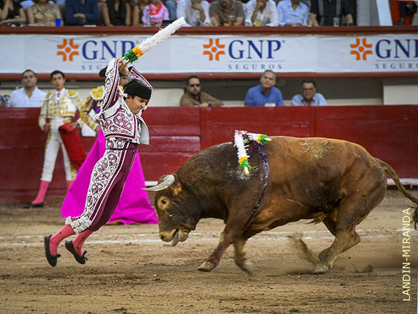 Naza, totalmente recuperado