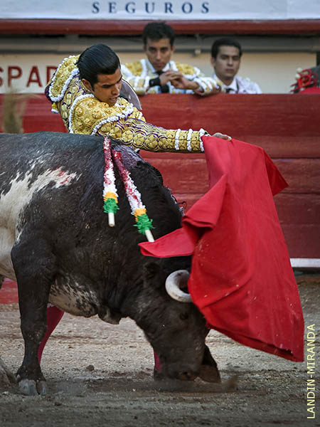 El ejemplar fue de menos a m�s