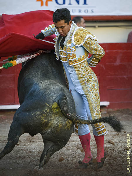 Ajustado en las manoletinas