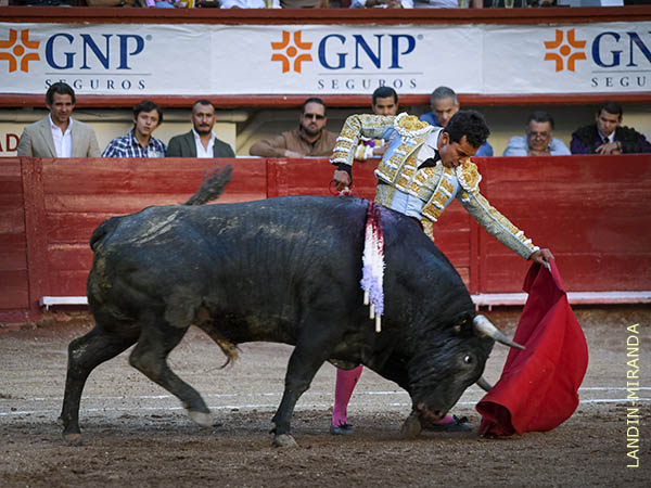 Embisti� con movilidad y transmisi�n