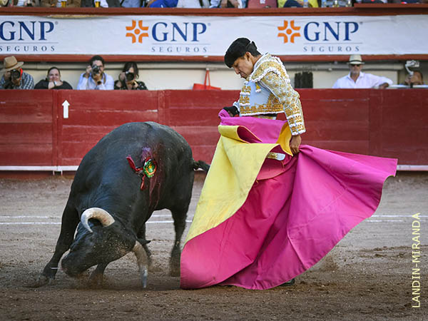 Quite que poco se ve en las plazas