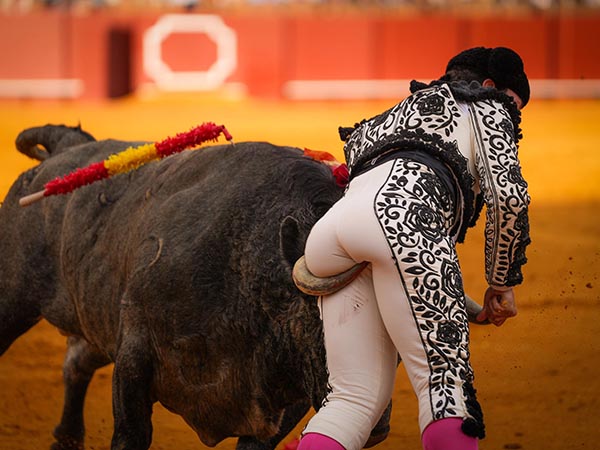 Otro percance en la Maestranza