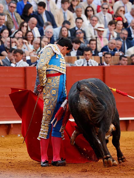 Humillado en la embestida