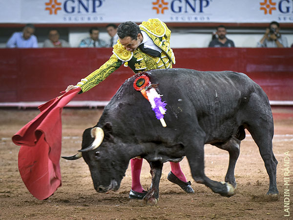 Juan Pablo, la magia del acoplamiento