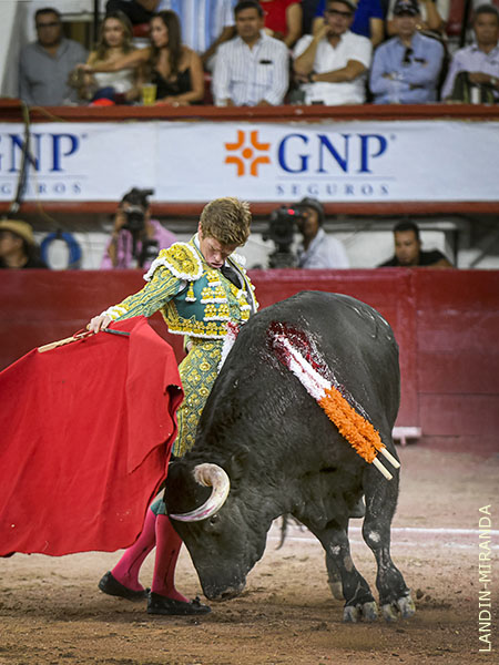 Una faena t�cnica, de muleta alta