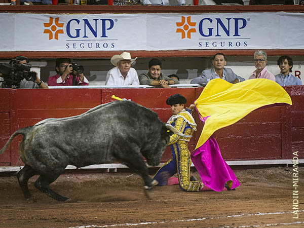 Deseos de redondear la tarde