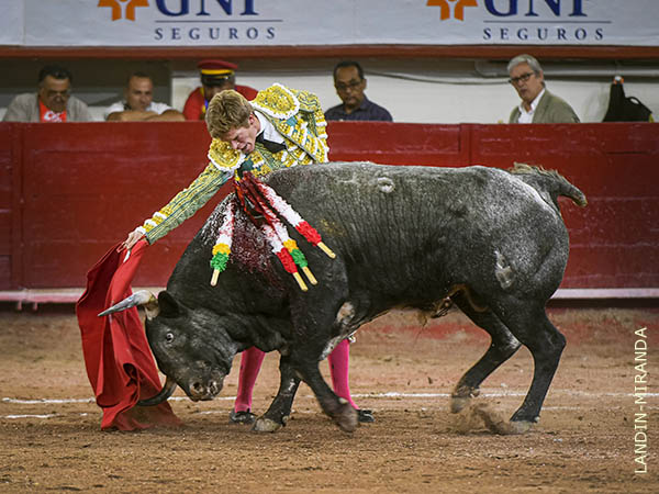Le viene mejor el toro con cuajo y cara